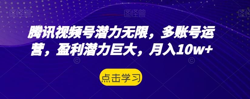 腾讯视频号潜力无限，多账号运营，盈利潜力巨大，月入10w+-Ai创业网