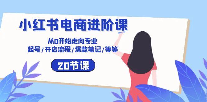 小红书电商进阶课：从0开始走向专业 起号/开店流程/爆款笔记/等等(20节-Ai创业网