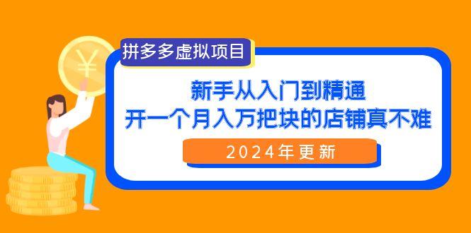 (9744期)拼多多虚拟项目：入门到精通，开一个月入万把块的店铺 真不难(24年更新)-Ai创业网