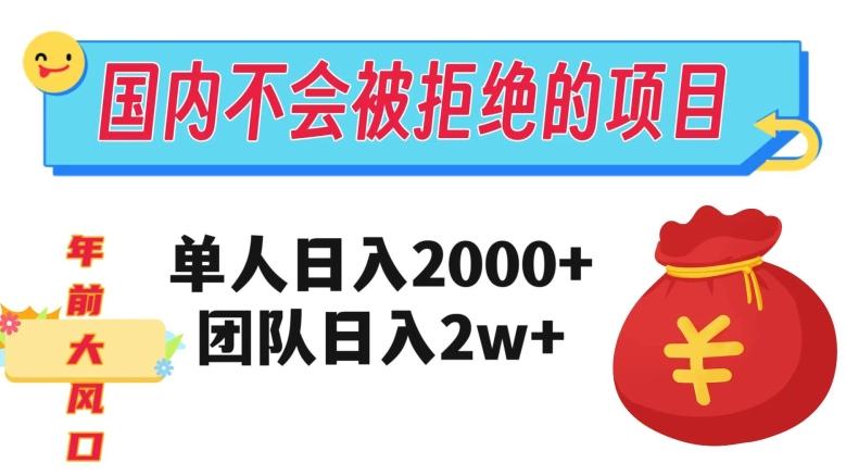 在国内不怕被拒绝的项目，单人日入2000，团队日入20000+【揭秘】-Ai创业网
