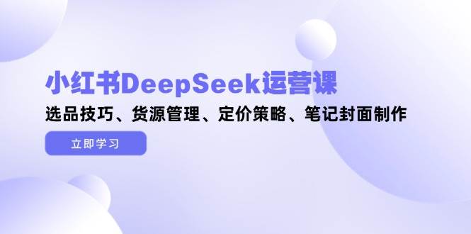 小红书DeepSeek运营课，选品技巧、货源管理、定价策略、笔记封面制作-Ai创业网