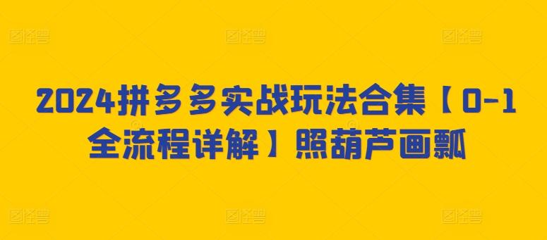 2024拼多多实战玩法合集【0-1全流程详解】照葫芦画瓢-Ai创业网