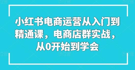 小红书电商运营从入门到精通课，电商店群实战，从0开始到学会-Ai创业网