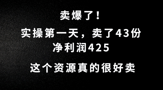 这个资源，需求很大，实操第一天卖了43份，净利润425【揭秘】-Ai创业网