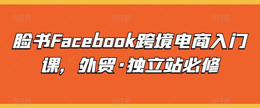 脸书Facebook跨境电商入门课，外贸·独立站必修-Ai创业网