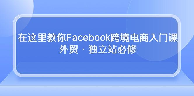 在这里教你Facebook跨境电商入门课，外贸·独立站必修-Ai创业网