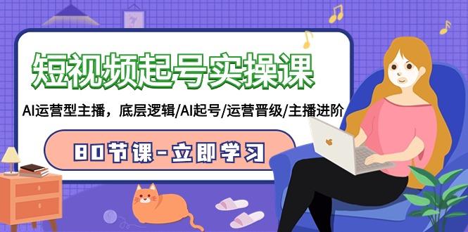 (9470期)短视频起号实操课，AI运营型主播，底层逻辑/AI起号/运营晋级/主播进阶/80节-Ai创业网