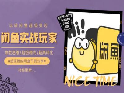 手把手教你0到1系统玩转闲鱼变现，爆款思维/超级曝光/超高转化-Ai创业网