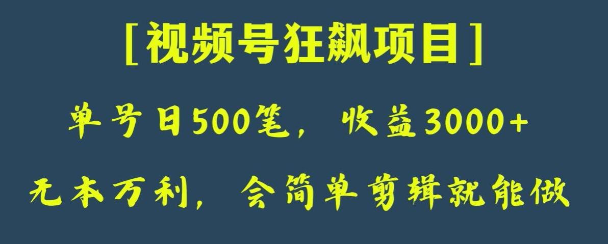 日收款500笔，纯利润3000+，视频号狂飙项目，会简单剪辑就能做【揭秘】-Ai创业网