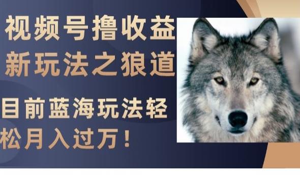 视频号撸收益新玩法之狼道，目前蓝海玩法，轻松月入过万【揭秘】-Ai创业网