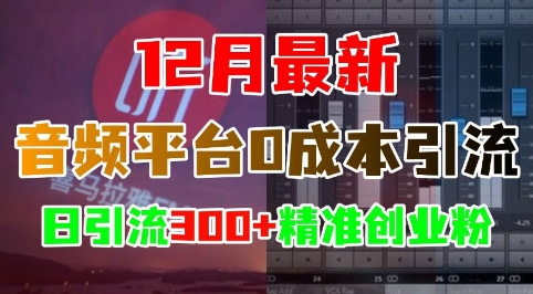 12月最新：音频平台0成本引流，日引流300+精准创业粉-Ai创业网