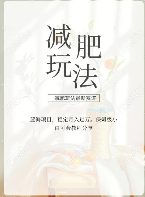 减肥流量主新玩法，轻松月入1W，可矩阵操作收入翻倍-Ai创业网
