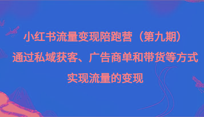 小红书流量变现陪跑营（第九期）通过私域获客、广告商单和带货等方式实现流量变现-Ai创业网