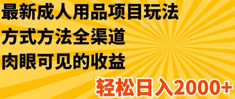 最新成人用品项目玩法，方式方法全渠道，轻松日入2K+【揭秘】-Ai创业网