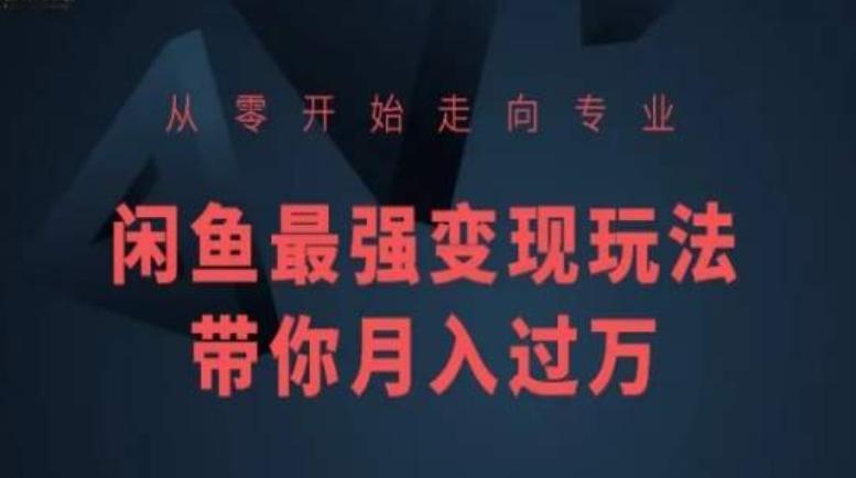 从零开始走向专业，闲鱼最强变现玩法带你月入过万-Ai创业网