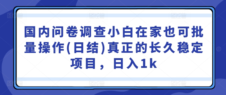 国内问卷调查小白在家也可批量操作(日结)真正的长久稳定项目，日入1k【揭秘】-Ai创业网