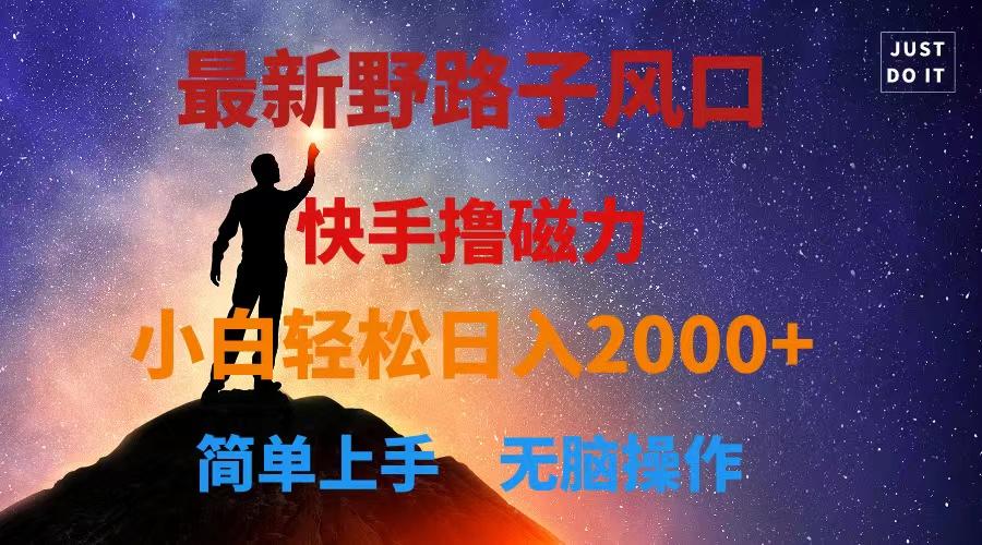 最新风口！快手撸磁力，野路子，小白无脑操作日入2000+-Ai创业网