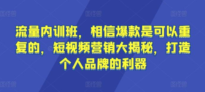 流量内训班，相信爆款是可以重复的，短视频营销大揭秘，打造个人品牌的利器-Ai创业网