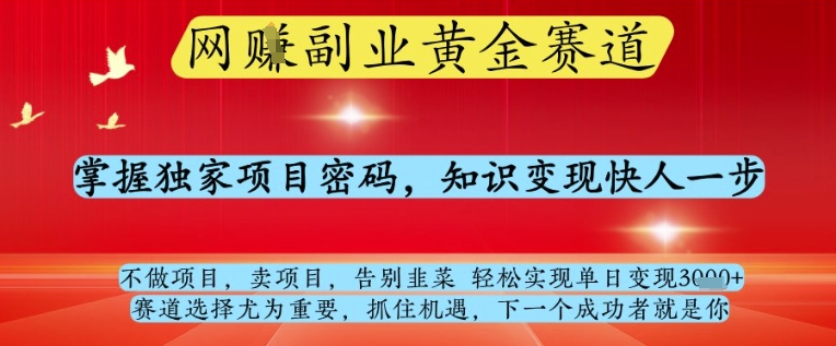 网创副业黄全赛道，掌握独家项目密码，知识变现快人一步，告别韭菜轻松实现单日变现1k+【揭秘】-Ai创业网