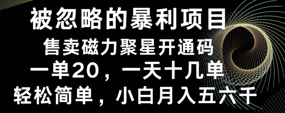 被忽略的暴利项目！售卖磁力聚星开通码，一单20，一天十几单，轻松月入五六千-Ai创业网