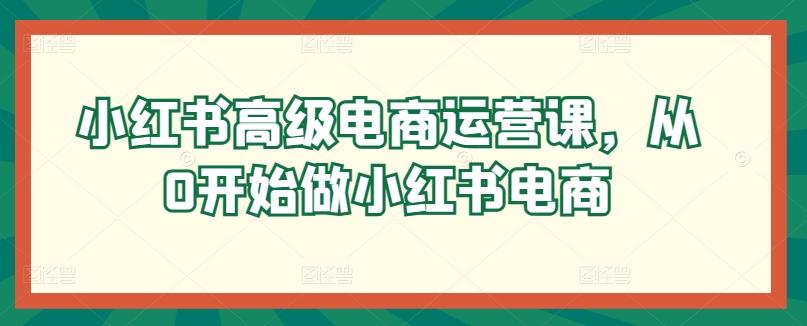 小红书高级电商运营课，从0开始做小红书电商-Ai创业网