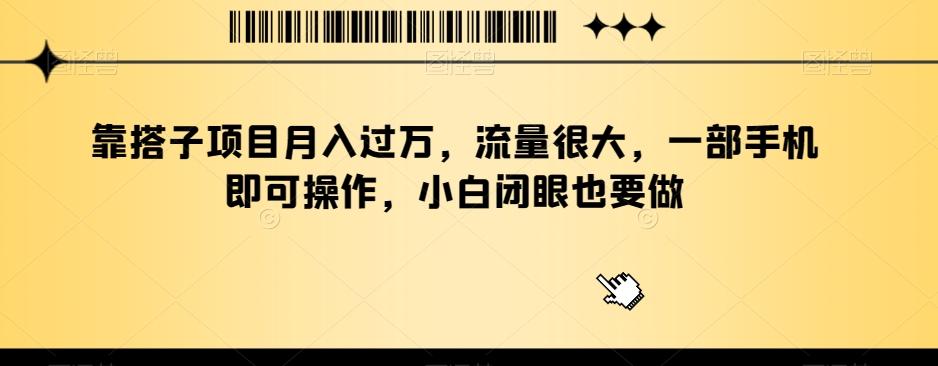 靠搭子项目月入过万，流量很大，一部手机即可操作，小白闭眼也要做-Ai创业网