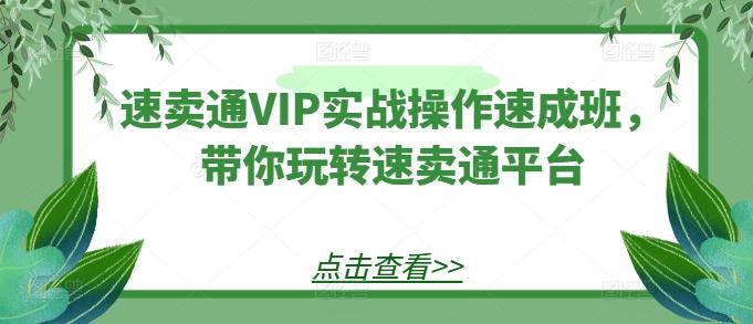 速卖通VIP实战操作速成班，带你玩转速卖通平台-Ai创业网