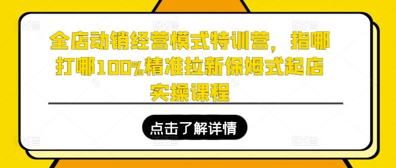 全店动销经营模式特训营，指哪打哪100%精准拉新保姆式起店实操课程-Ai创业网