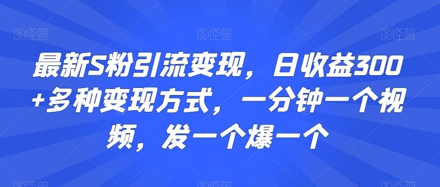 最新S粉引流变现，日收益300+多种变现方式，一分钟一个视频，发一个爆一个【揭秘】-Ai创业网