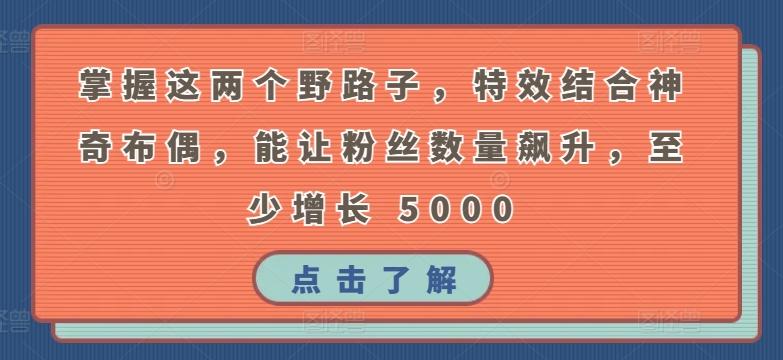 掌握这两个野路子，特效结合神奇布偶，能让粉丝数量飙升，至少增长 5000【揭秘】-Ai创业网