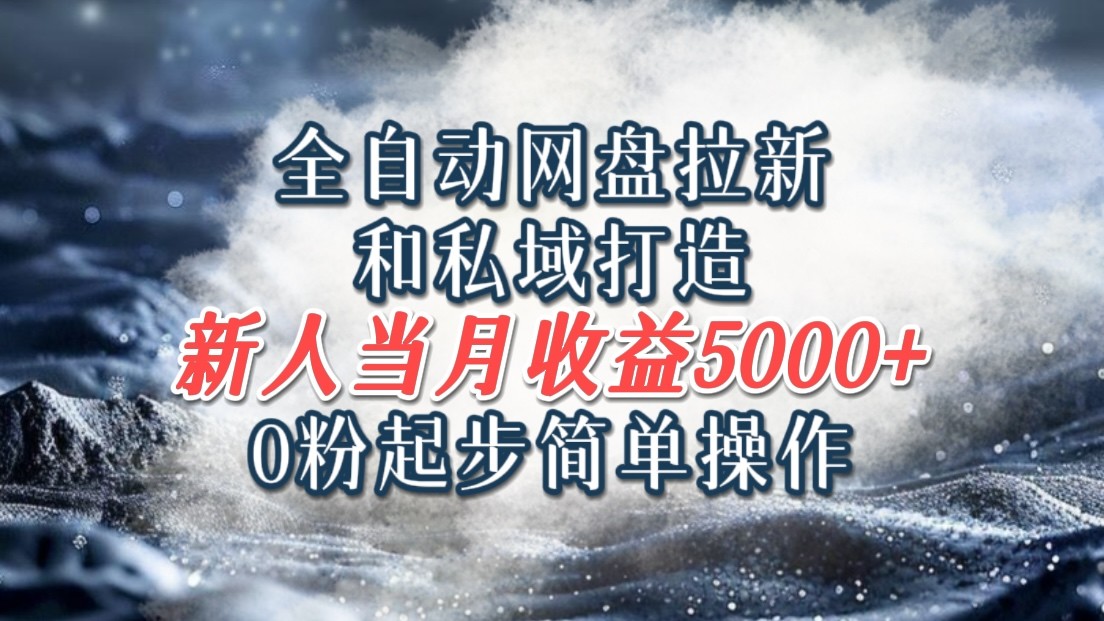 全自动网盘拉新和私域打造，0粉起步简单操作，新人入门当月收益5000以上-Ai创业网