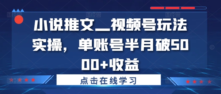 小说推文—视频号玩法实操，单账号半月破5000+收益-Ai创业网