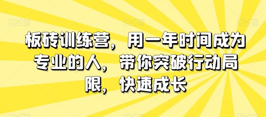 板砖训练营，用一年时间成为专业的人，带你突破行动局限，快速成长-Ai创业网