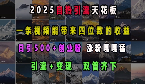 2025自热引流天花板，一条视频能带来四位数的收益，引流+变现双管齐下，日引500+创业粉，涨粉嘎嘎猛-Ai创业网