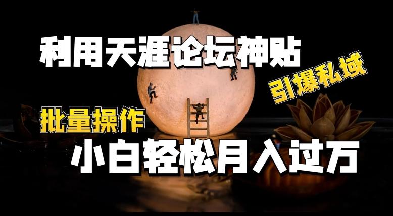 利用天涯论坛神贴，引爆私域，批量操作，小白轻松月入过w【揭秘】-Ai创业网