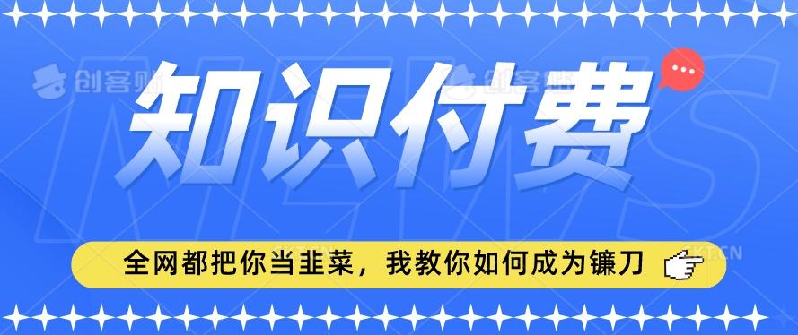 2024最新知识付费项目，小白也能轻松入局，全网都在教你做项目，我教你做镰刀【揭秘】-Ai创业网