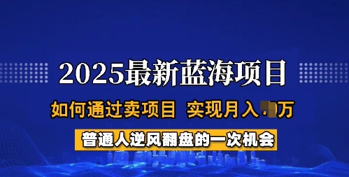 2025蓝海项目，普通人如何通过卖项目，实现月入过W，全过程【揭秘】-Ai创业网