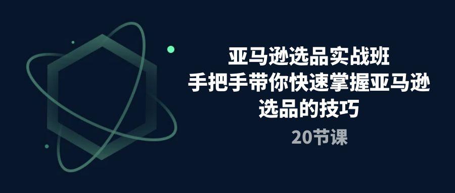 亚马逊选品实战班，手把手带你快速掌握亚马逊选品的技巧(20节课-Ai创业网