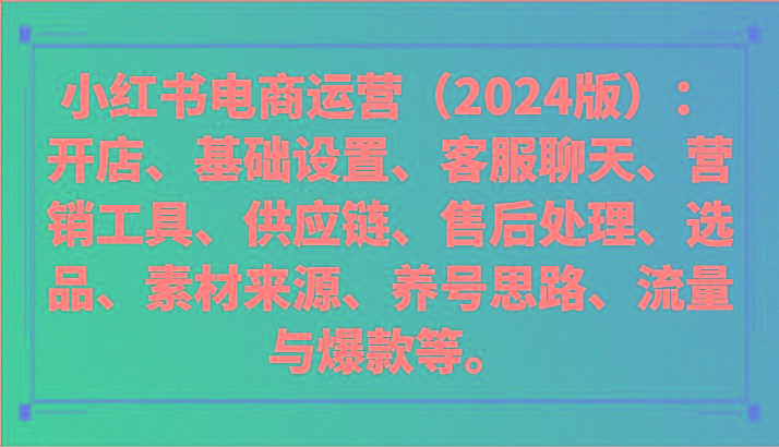 小红书电商运营(2024版)：开店、设置、供应链、选品、素材、养号、流量与爆款等-Ai创业网