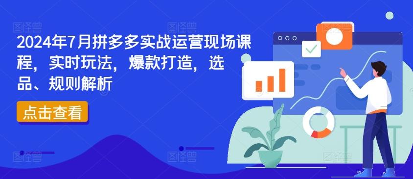2024年7月拼多多实战运营现场课程，实时玩法，爆款打造，选品、规则解析-Ai创业网