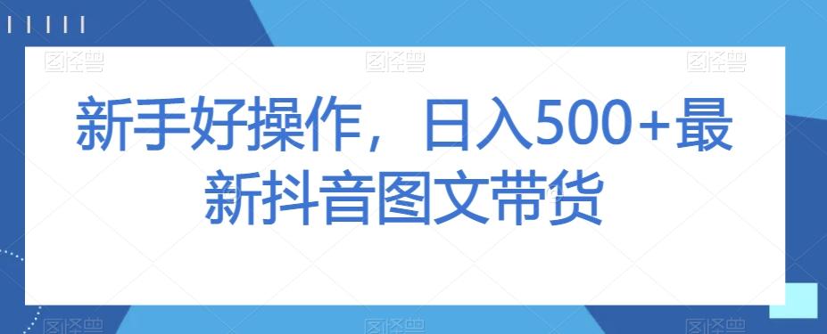 新手好操作，日入500+最新抖音图文带货【揭秘】-Ai创业网