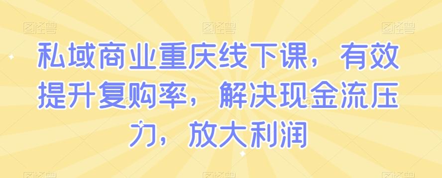 私域商业重庆线下课，有效提升复购率，解决现金流压力，放大利润-Ai创业网