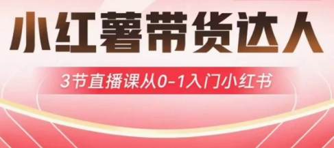 小红薯达人带货启航计划，3节直播课从0-1入门小红书-Ai创业网