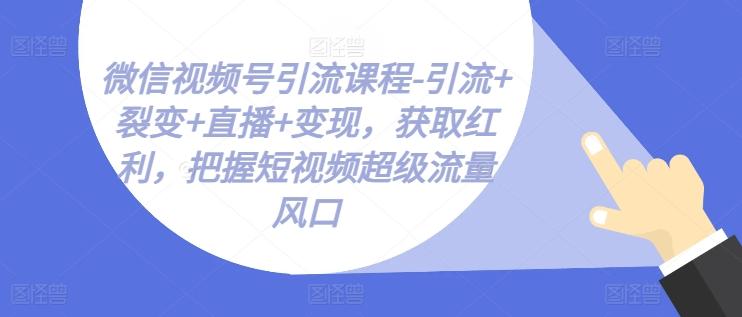 微信视频号引流课程-引流+裂变+直播+变现，获取红利，把握短视频超级流量风口-Ai创业网