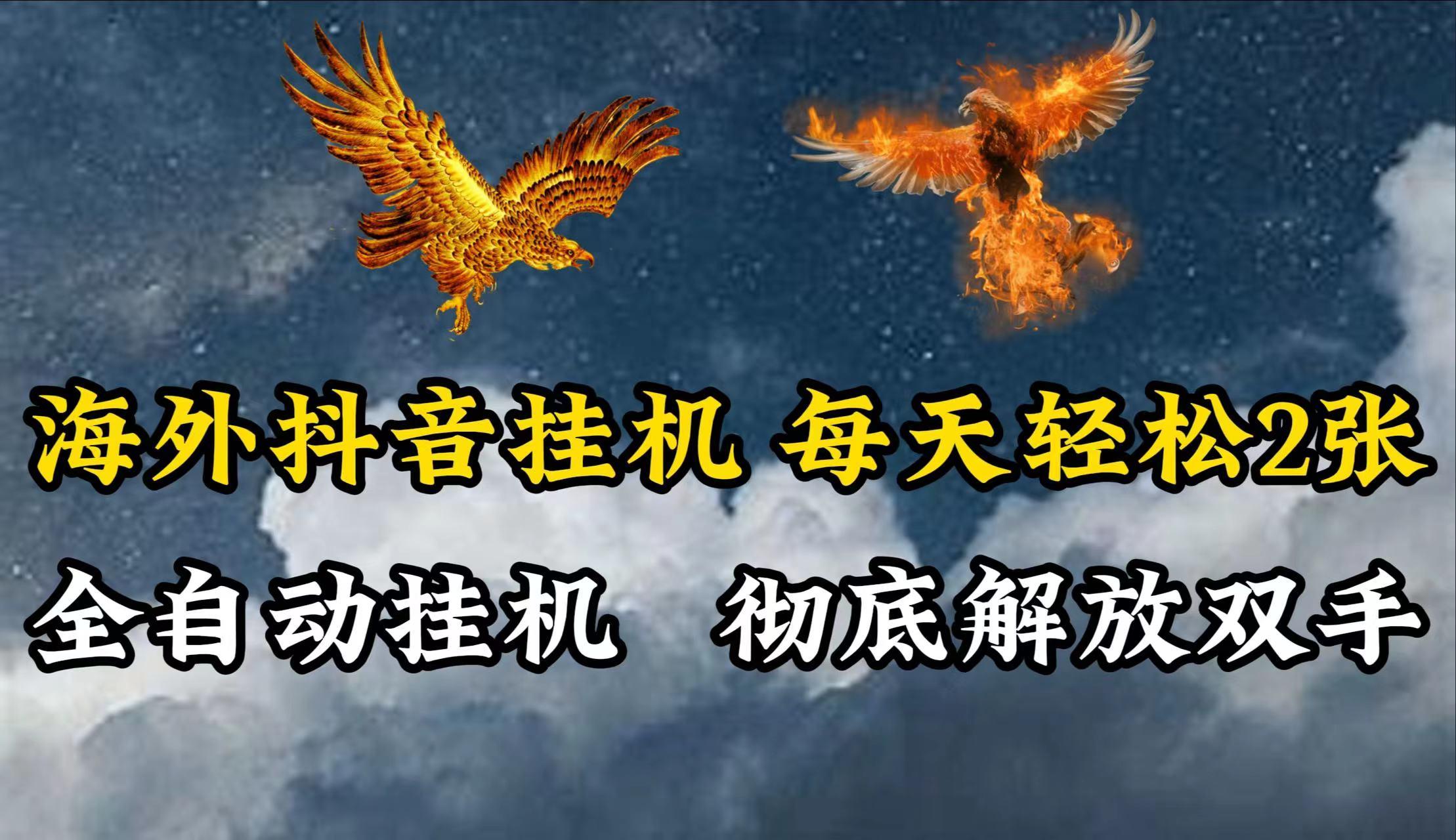 海外抖音挂机，每天轻松2张，全自动挂机，彻底解放双手！-Ai创业网