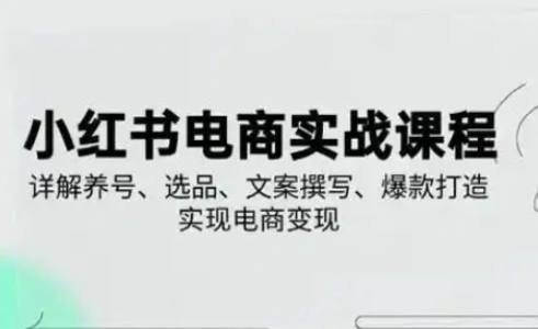小红书从0-1实操课(2023-2025)，详解养号、选品、文案撰写、爆款打造实现电商变现-Ai创业网