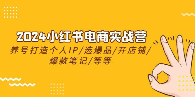 2024小红书电商实战营，养号打造IP/选爆品/开店铺/爆款笔记/等等(24节)-Ai创业网