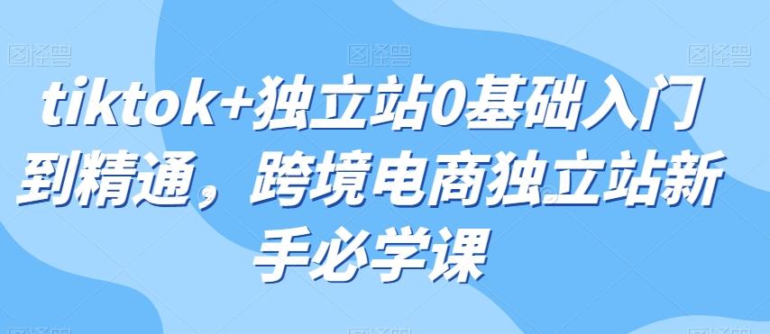 tiktok+独立站0基础入门到精通，跨境电商独立站新手必学课-Ai创业网