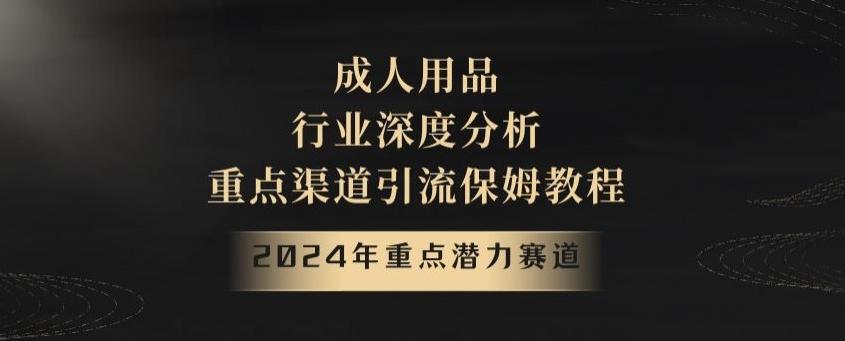 2024年重点潜力赛道，成人用品行业深度分析，重点渠道引流保姆教程【揭秘】-Ai创业网