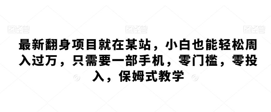 最新翻身项目就在某站，小白也能轻松周入过万，只需要一部手机，零门槛，零投入，保姆式教学-Ai创业网
